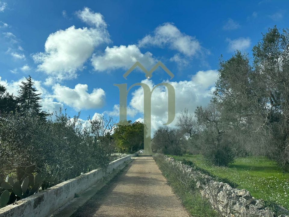 Helårsgrund i San Vito dei Normanni, Brindisi - foto 5